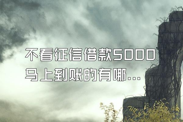 不看征信借款5000马上到账的有哪些软件