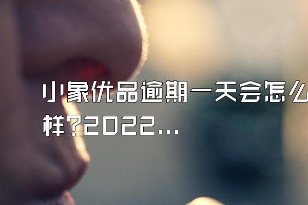 小象优品逾期一天会怎么样?2022款还款