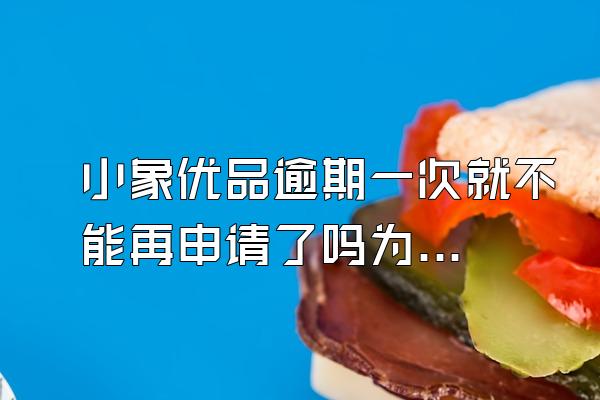 小象优品逾期一次就不能再申请了吗为什么呢