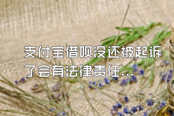 支付宝借呗没还被起诉了会有法律责任吗?