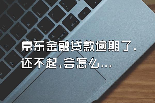 京东金融贷款逾期了,还不起,会怎么样?