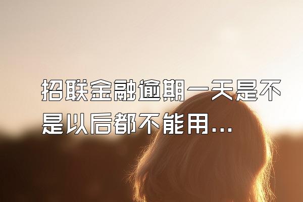 招联金融逾期一天是不是以后都不能用了呀