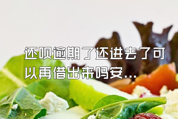 还呗逾期了还进去了可以再借出来吗安全吗