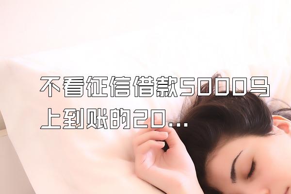 不看征信借款5000马上到账的2021