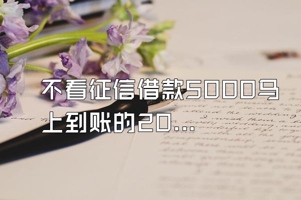 不看征信借款5000马上到账的2023