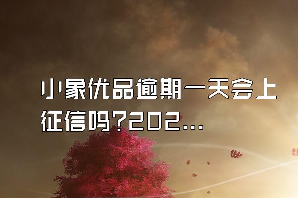 小象优品逾期一天会上征信吗?2021款