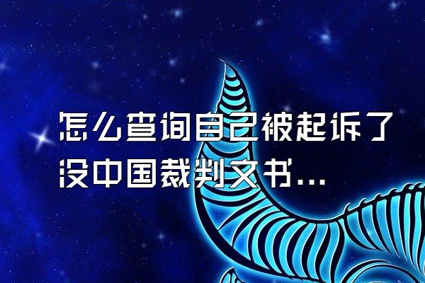 怎么查询自己被起诉了没中国裁判文书网