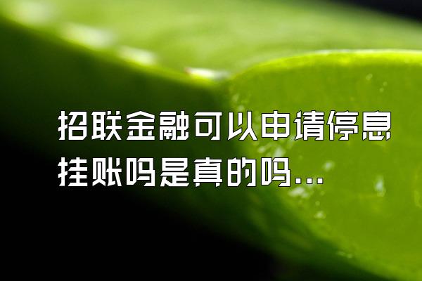 招联金融可以申请停息挂账吗是真的吗吗