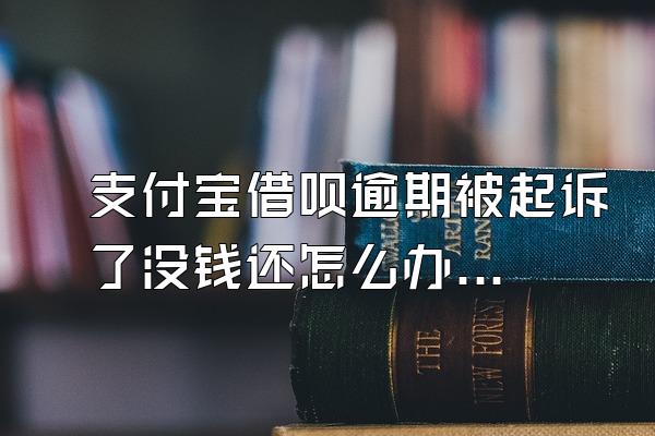 支付宝借呗逾期被起诉了没钱还怎么办呢