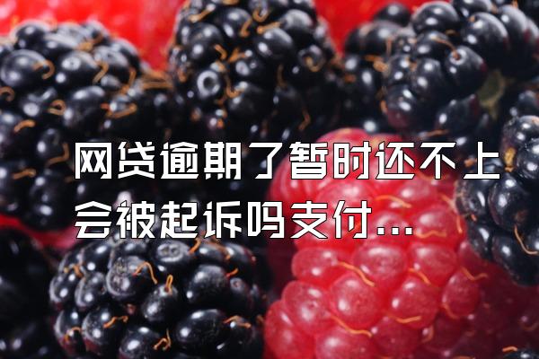 网贷逾期了暂时还不上会被起诉吗支付宝