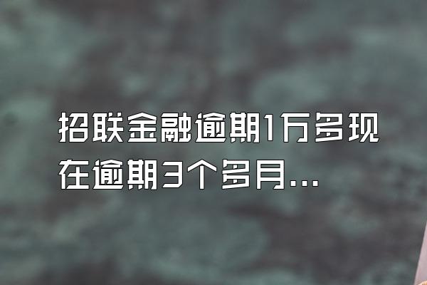 招联金融逾期1万多现在逾期3个多月了