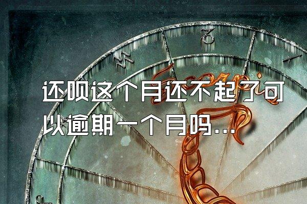 还呗这个月还不起了可以逾期一个月吗?