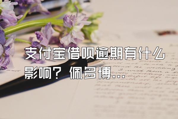 支付宝借呗逾期有什么影响? 佩多博客