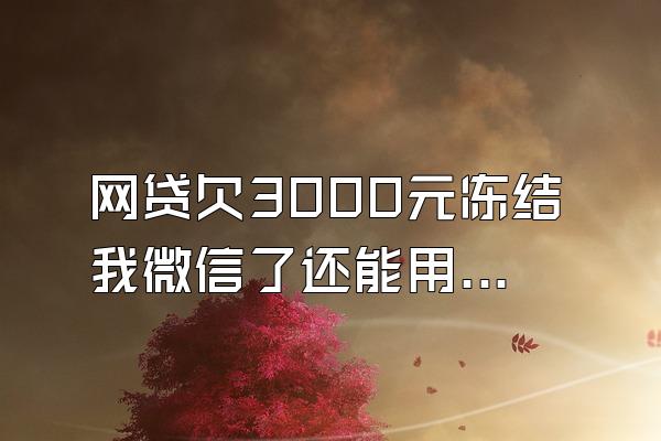 网贷欠3000元冻结我微信了还能用吗