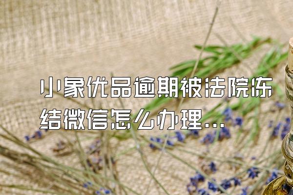 小象优品逾期被法院冻结微信怎么办理的