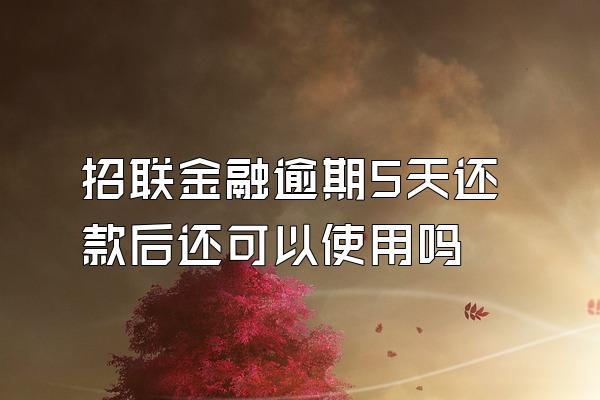 招联金融逾期5天还款后还可以使用吗