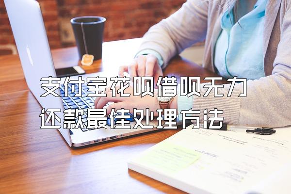 支付宝花呗借呗无力还款最佳处理方法