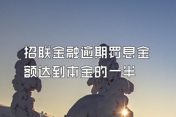 招联金融逾期罚息金额达到本金的一半