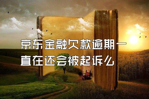 京东金融欠款逾期一直在还会被起诉么