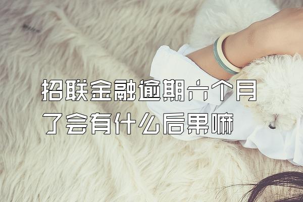 招联金融逾期六个月了会有什么后果嘛