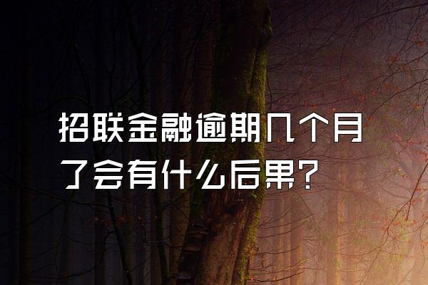 招联金融逾期几个月了会有什么后果?