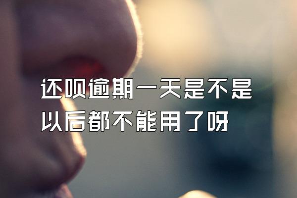 还呗逾期一天是不是以后都不能用了呀