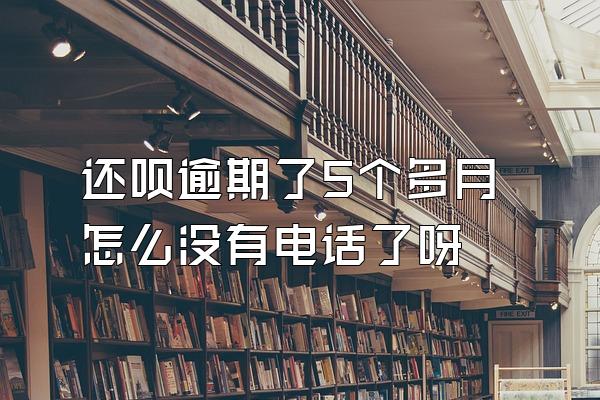 还呗逾期了5个多月怎么没有电话了呀