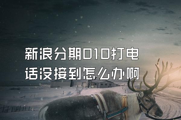 新浪分期010打电话没接到怎么办啊