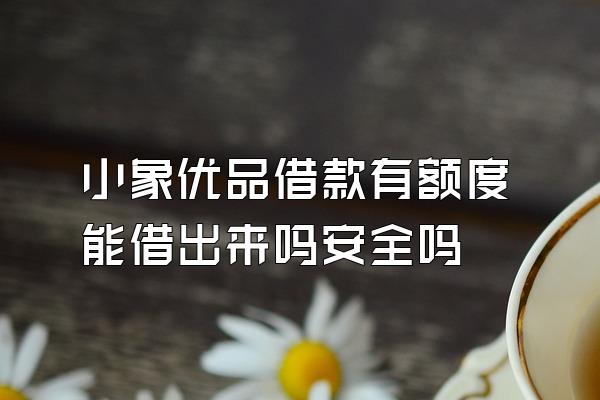 小象优品借款有额度能借出来吗安全吗