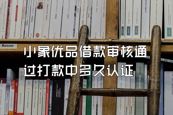 小象优品借款审核通过打款中多久认证