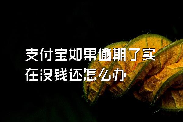 支付宝如果逾期了实在没钱还怎么办