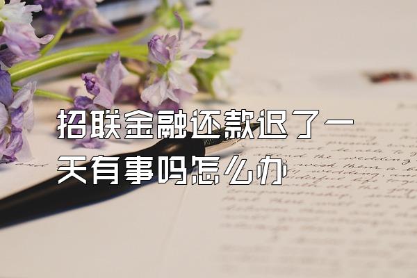 招联金融还款迟了一天有事吗怎么办