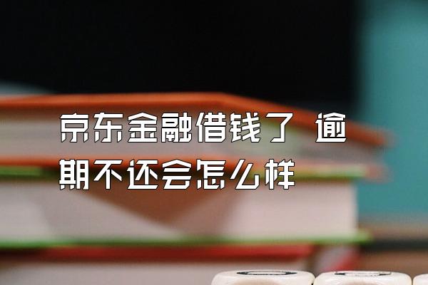 京东金融借钱了 逾期不还会怎么样