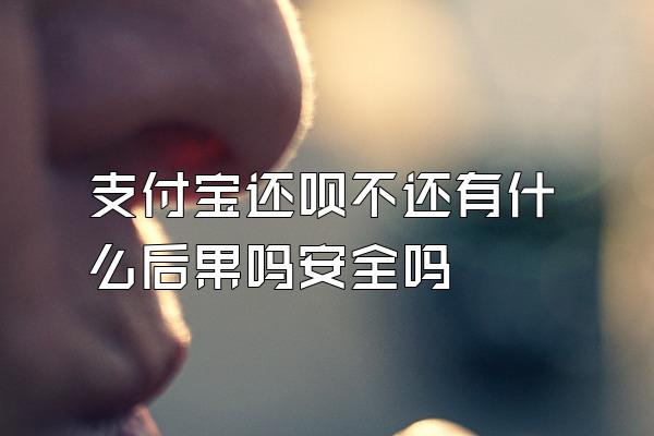 支付宝还呗不还有什么后果吗安全吗