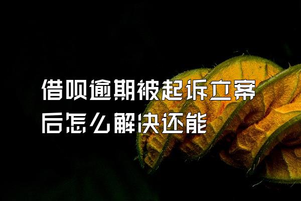 借呗逾期被起诉立案后怎么解决还能