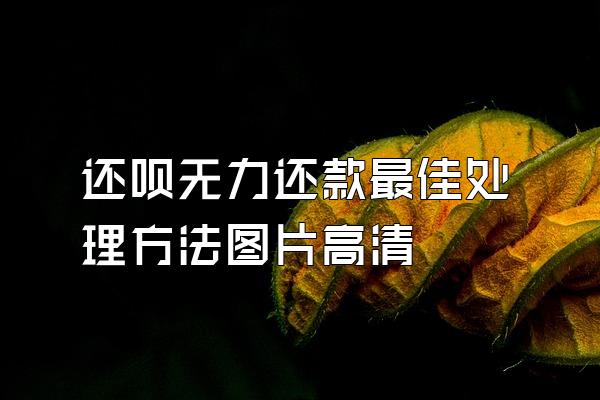 还呗无力还款最佳处理方法图片高清