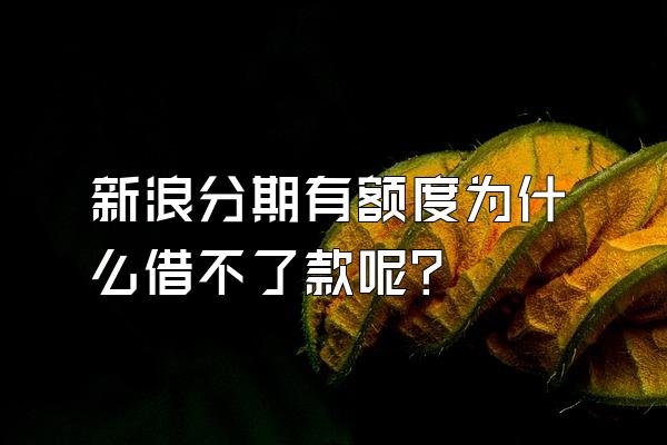 新浪分期有额度为什么借不了款呢?