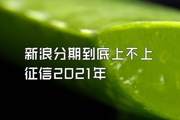 新浪分期到底上不上征信2021年