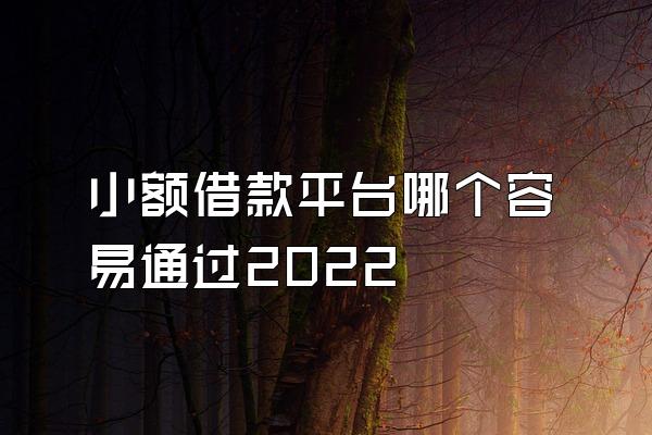 小额借款平台哪个容易通过2022