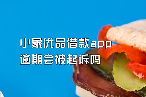 小象优品借款app逾期会被起诉吗