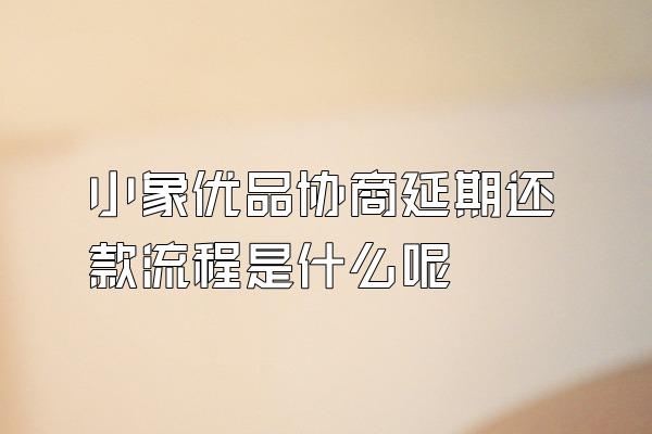 小象优品协商延期还款流程是什么呢