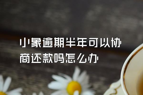 小象逾期半年可以协商还款吗怎么办