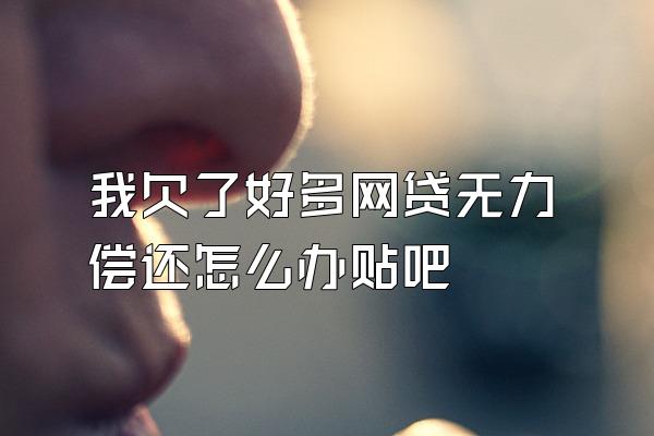 我欠了好多网贷无力偿还怎么办贴吧