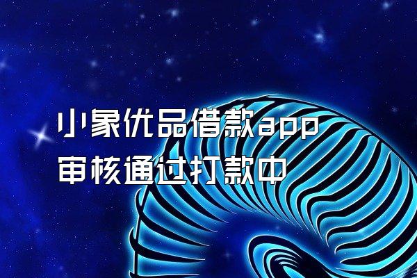 小象优品借款app审核通过打款中