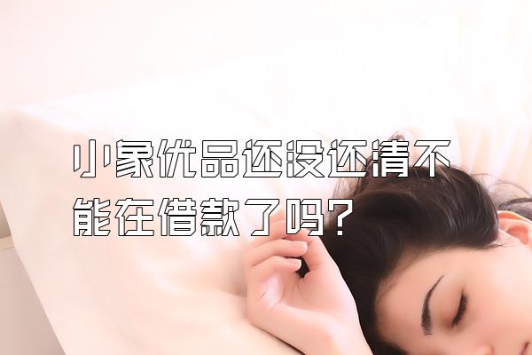 小象优品还没还清不能在借款了吗?