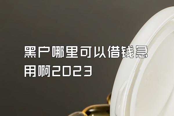 黑户哪里可以借钱急用啊2023