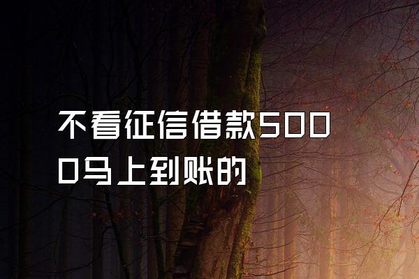 不看征信借款5000马上到账的