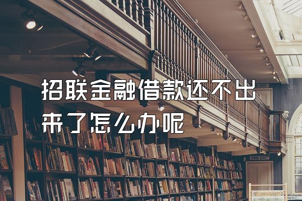 招联金融借款还不出来了怎么办呢