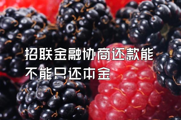 招联金融协商还款能不能只还本金