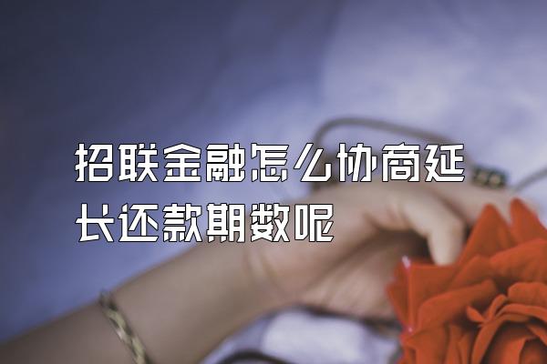 招联金融怎么协商延长还款期数呢